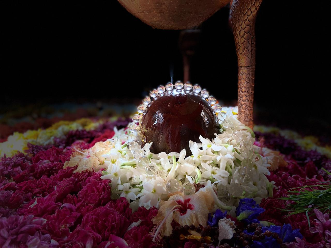 Vedic yajna and havan at Omkareshwar