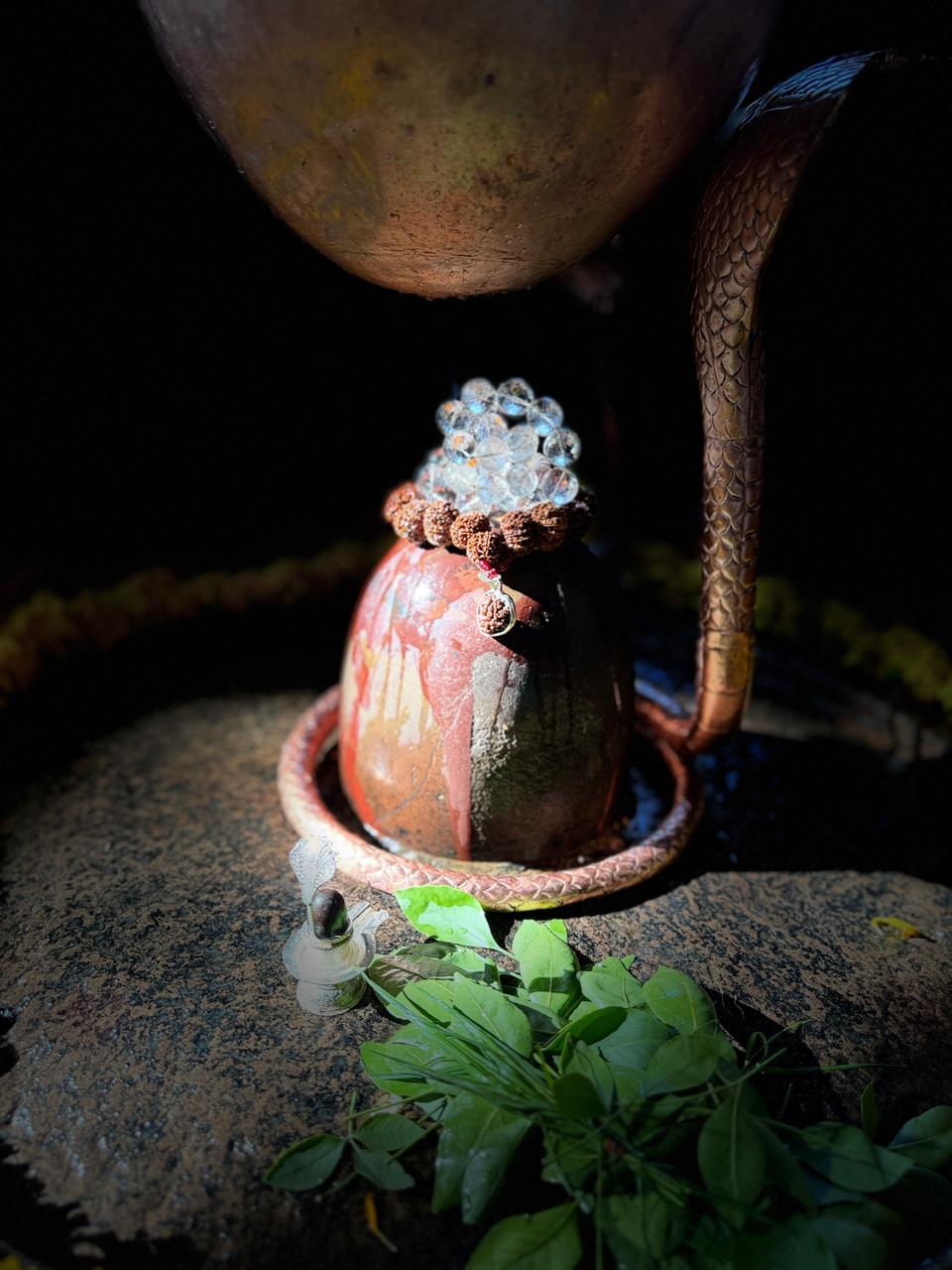 Darshan of the Omkareshwar Jyotirlinga