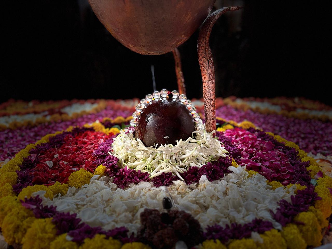 Puja and seva at Shri Vedmata Gayatri Mandir, Omkareshwar