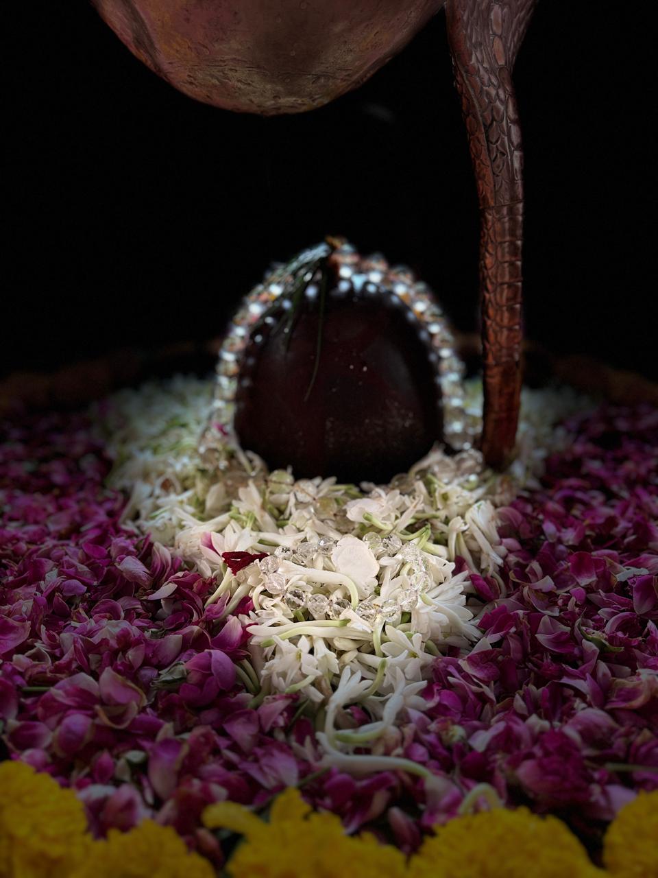 Darshan of the Omkareshwar Jyotirlinga