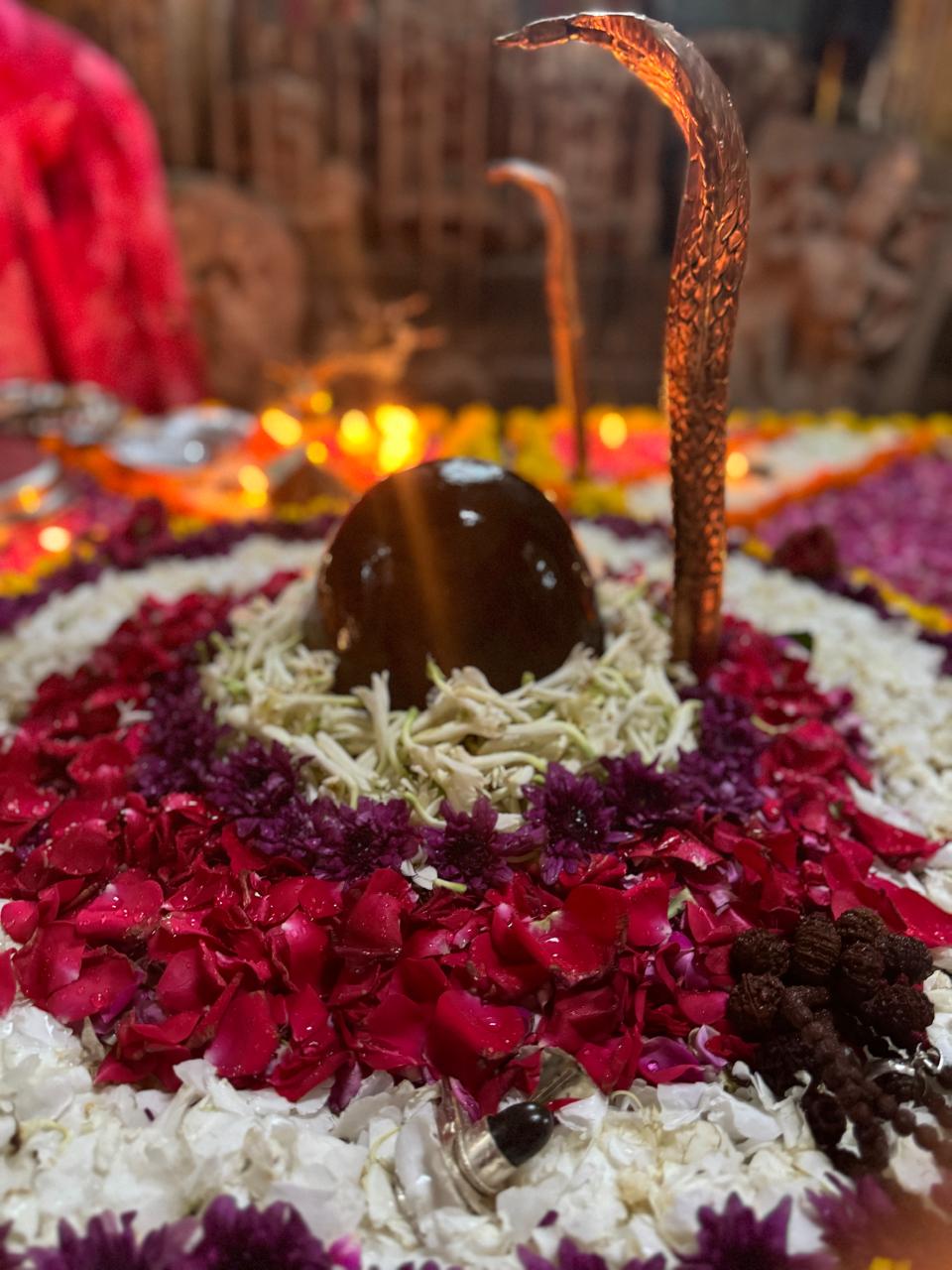 Vedic yajna and havan at Omkareshwar