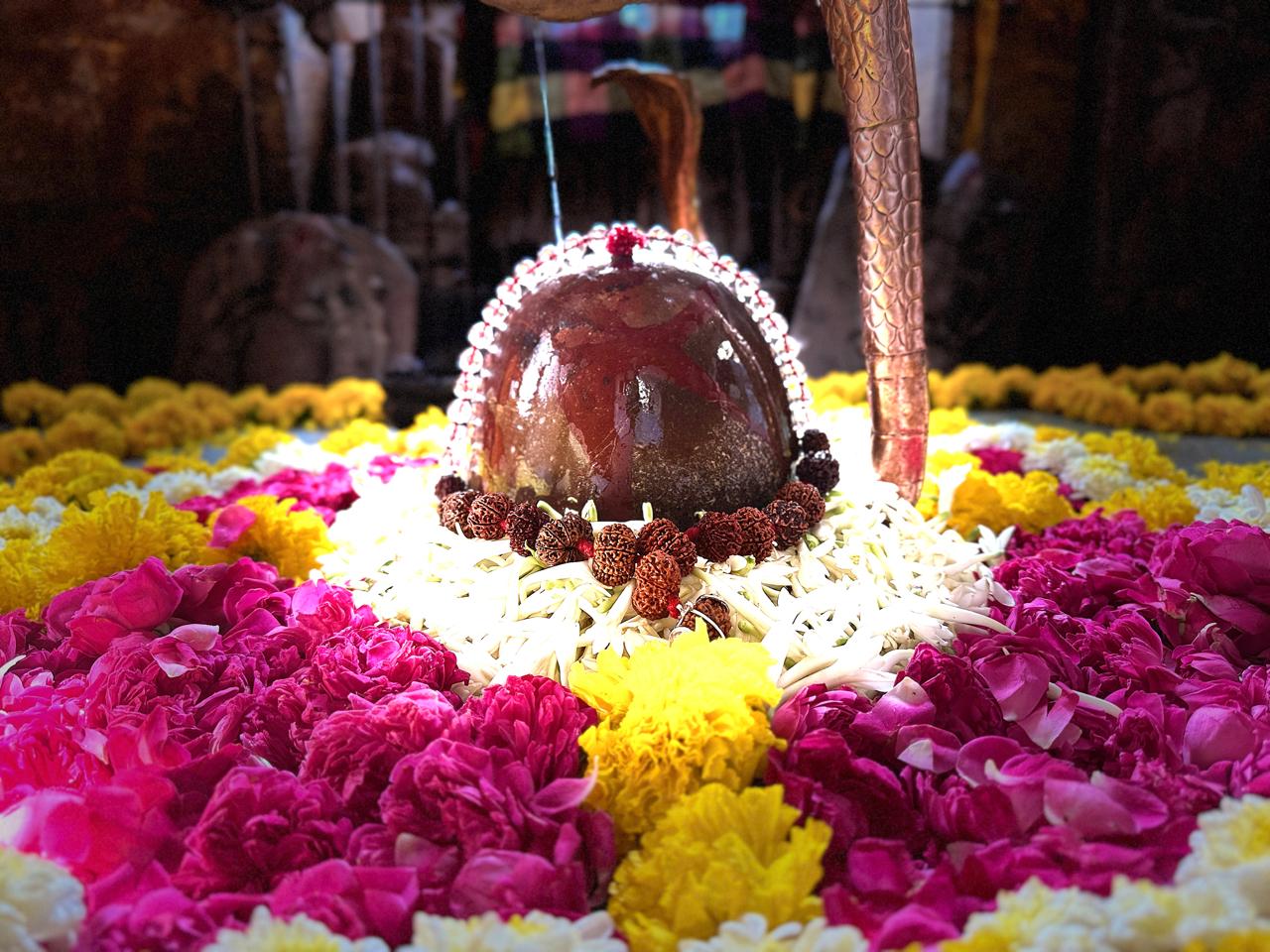 Puja and seva at Shri Vedmata Gayatri Mandir, Omkareshwar